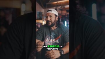 [ID: ILWeE0ei9fc] Youtube Automatic