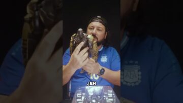 [ID: jnJGc9zn-DA] Youtube Automatic