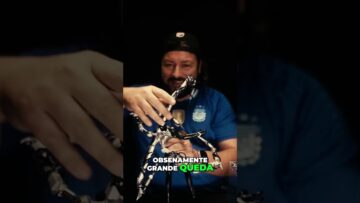 [ID: TUWdDKwaVfU] Youtube Automatic