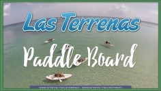 Privado: Pending – Youtube Automatic