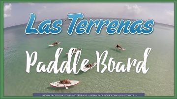 Privado: Pending – Youtube Automatic