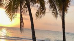 Privado: Pending – Youtube Automatic