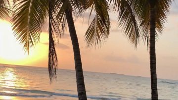 Privado: Pending – Youtube Automatic