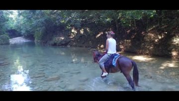 Privado: Pending – Youtube Automatic