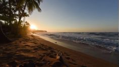 Privado: Pending – Youtube Automatic