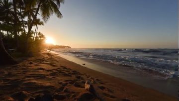 Privado: Pending – Youtube Automatic