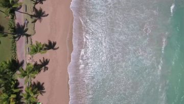 Privado: [ID: anWARejJQpU] Youtube Automatic