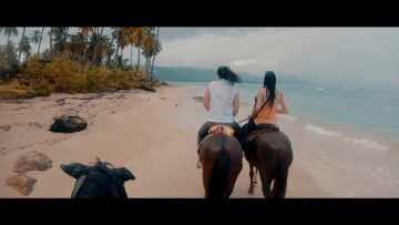 Privado: [ID: eGcxy9lM8EI] Youtube Automatic