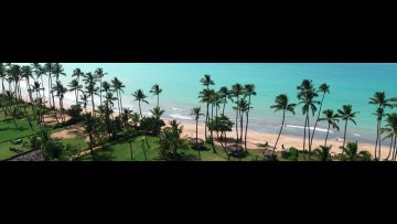 [ID: 7SPiijYm6SI] Youtube Automatic