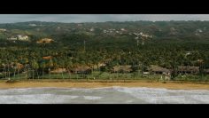 Privado: [ID: Ojb2KsfKdnM] Youtube Automatic