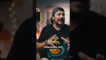 [ID: 3ryMrQEeDX4] Youtube Automatic