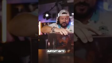 [ID: 7p7s2dsOC4Y] Youtube Automatic