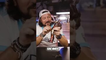 [ID: 8R5JFcBs9R0] Youtube Automatic