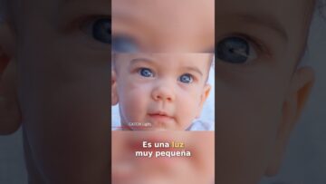 [ID: eH2lhJ5XlIA] Youtube Automatic