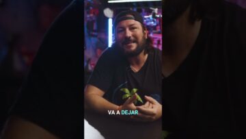 [ID: jCNjAW7mhtA] Youtube Automatic