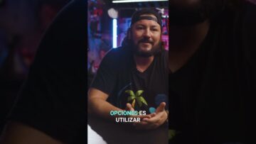 [ID: KB5wuqDCaRE] Youtube Automatic