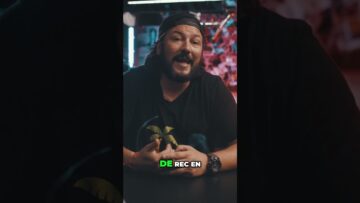 [ID: -kq_qrzda7A] Youtube Automatic