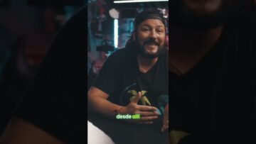 [ID: O0jpULiUXkk] Youtube Automatic