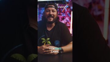 [ID: oy6qKs97mog] Youtube Automatic