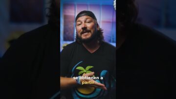 [ID: ptdSRxKonUE] Youtube Automatic