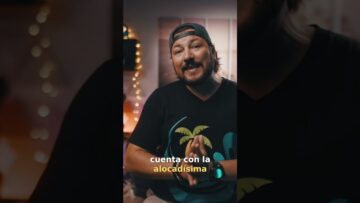 [ID: x1zs2cflXgY] Youtube Automatic