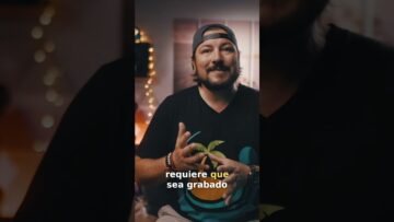 [ID: Zhm_T6ltTTg] Youtube Automatic